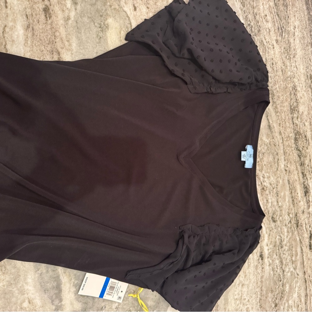 CeCe Rich Black V-Neck with Sheer Sleeves